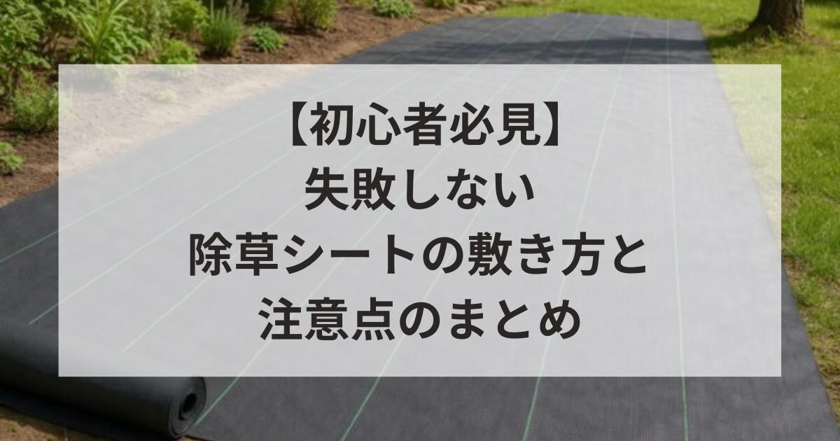 【初心者必見】失敗しない除草シートの敷き方と注意点まとめ